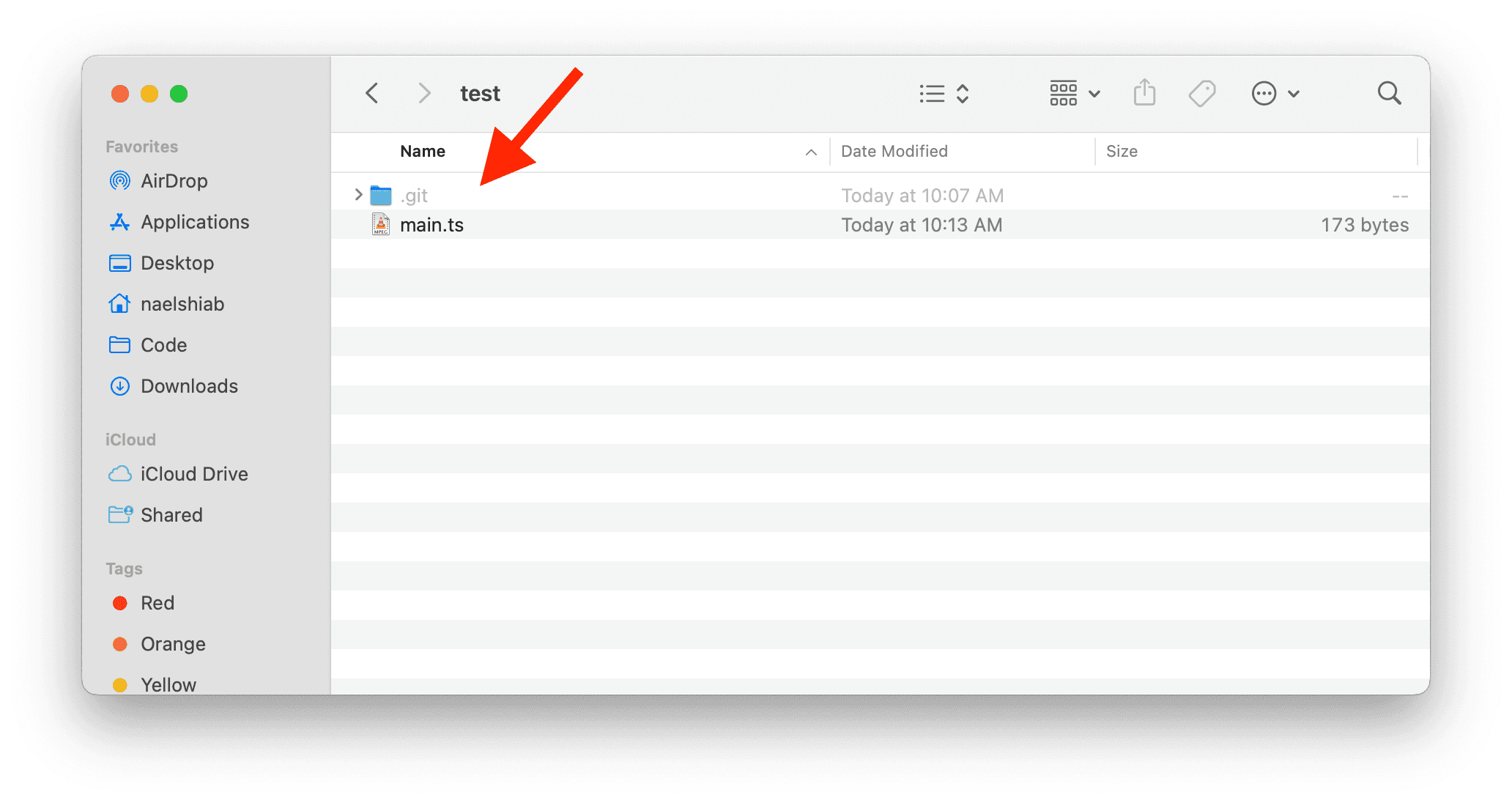 A hidden git folder.