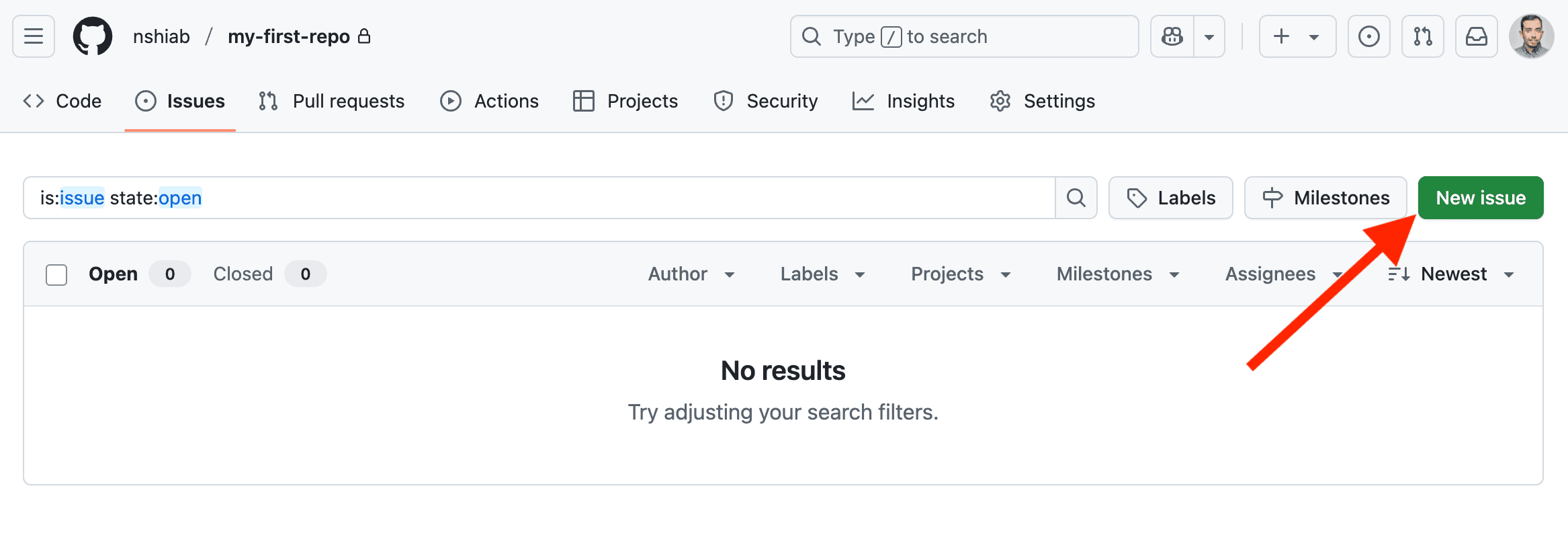 The new issue button on GitHub.