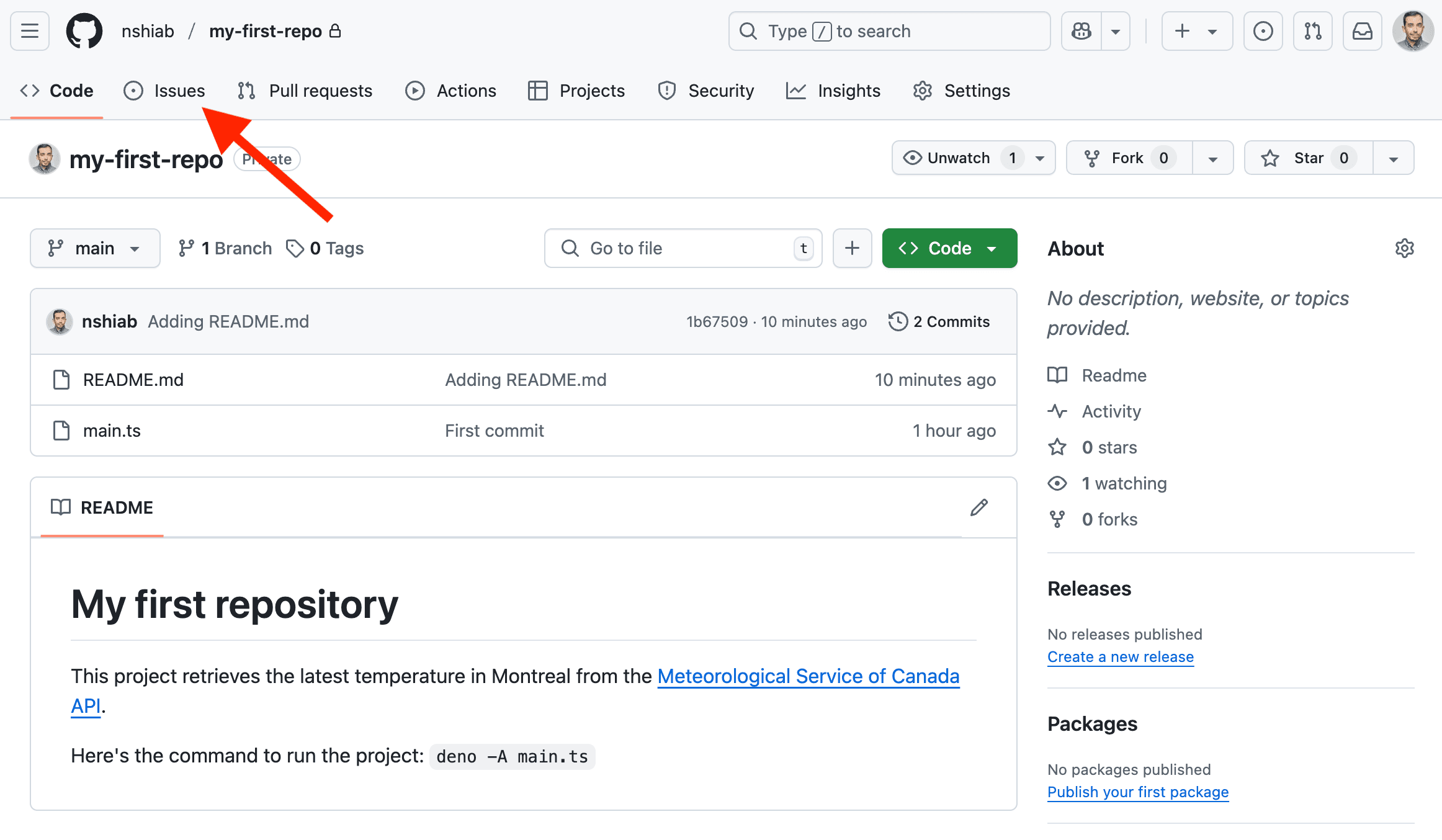The Issues tab on GitHub.