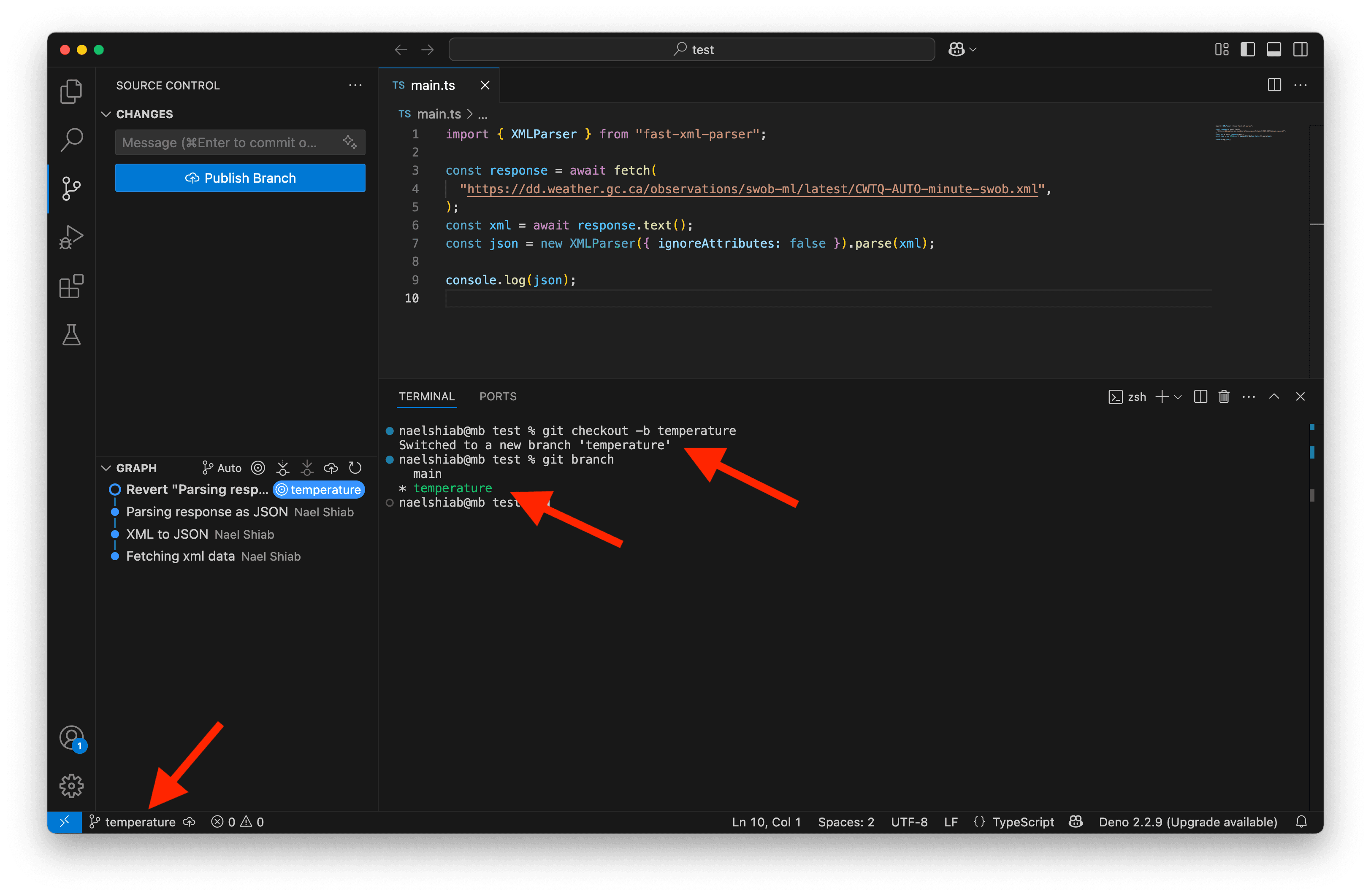 The temperature branch on VS Code.