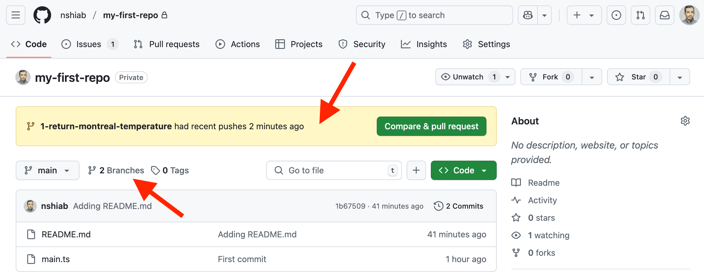 GitHub suggesting to create a pull request.