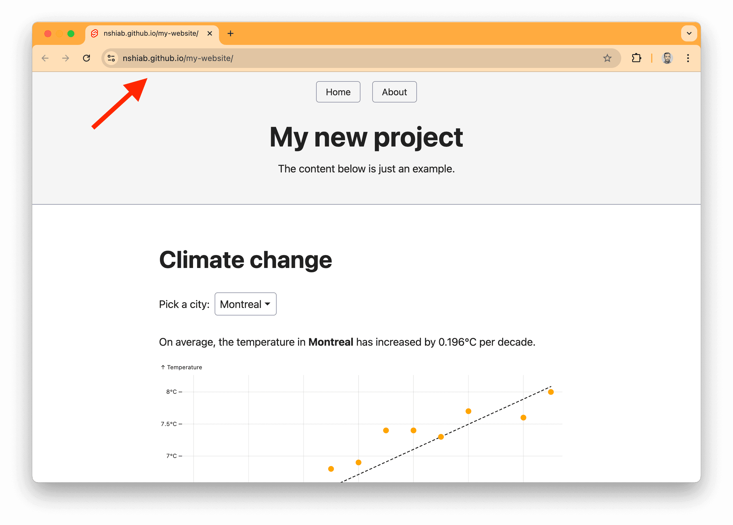 The website.